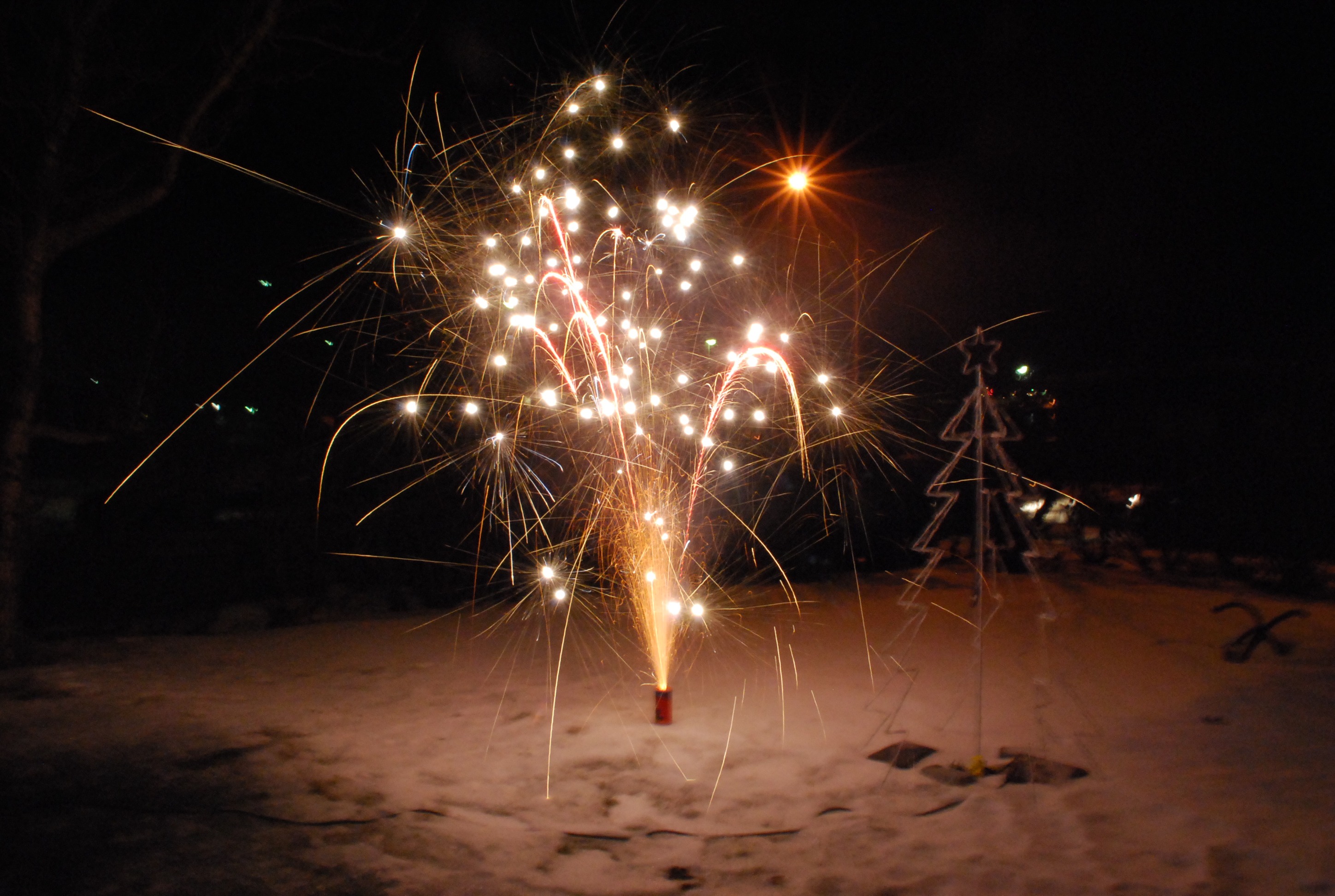 DSC_0095 DSC_0095
