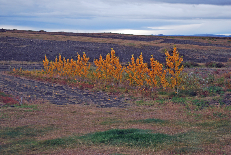 Hrpulundur 20110924-1630