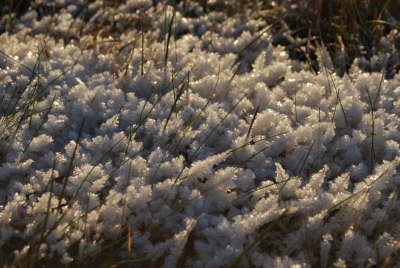Frostkristaller i november 2010